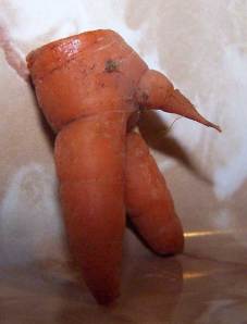Our unusual carrot
