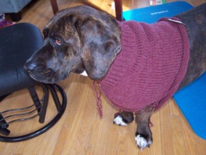 Rosa trying on her partially knit sweater